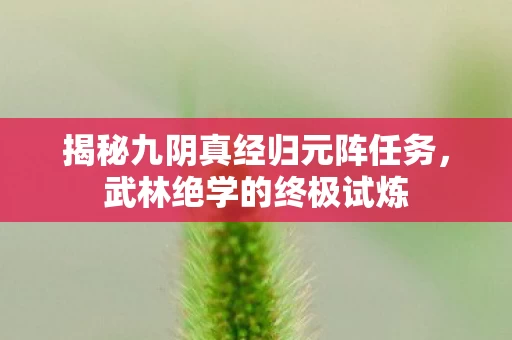 揭秘九阴真经归元阵任务图片