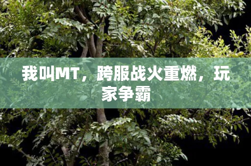 跨服战火重燃图片