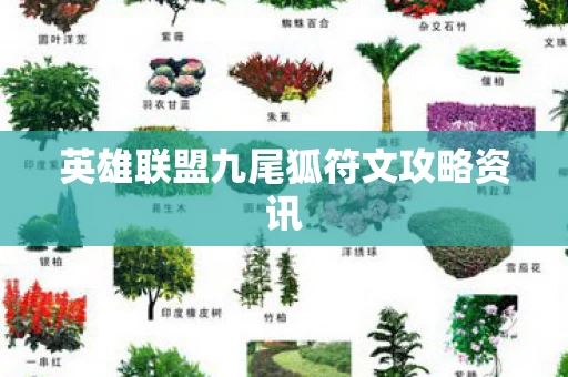 英雄联盟九尾狐符文攻略资讯图片