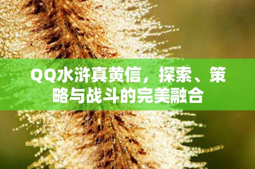 QQ水浒真黄信，探索、策略与战斗的完美融合