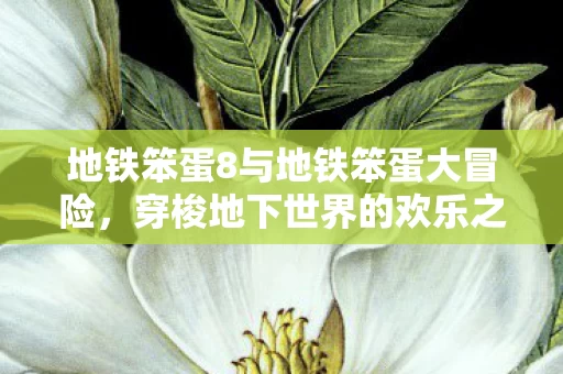 地铁笨蛋8与地铁笨蛋大冒险图片