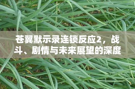 剧情与未来展望的深度解析图片