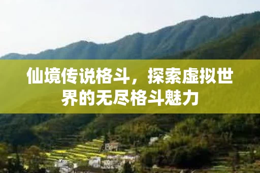 探索虚拟世界的无尽格斗魅力图片