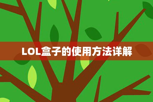 LOL盒子的使用方法详解图片