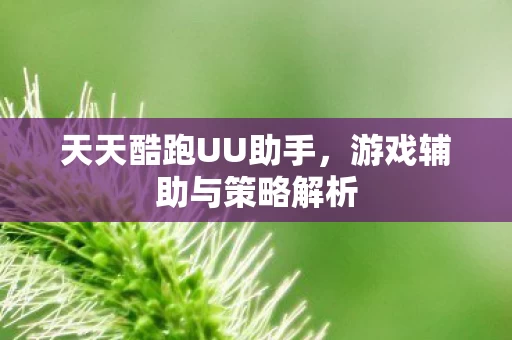 游戏辅助与策略解析图片