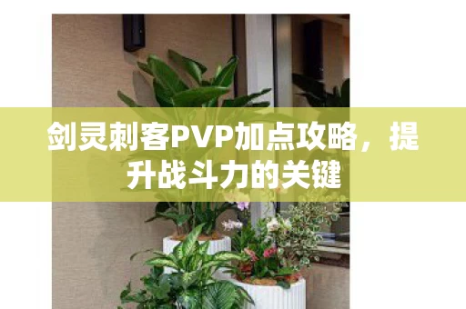 剑灵刺客PVP加点攻略图片