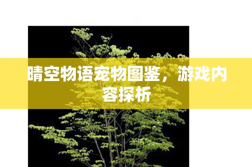 晴空物语宠物图鉴图片