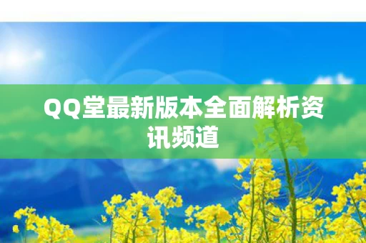 QQ堂最新版本全面解析资讯频道图片
