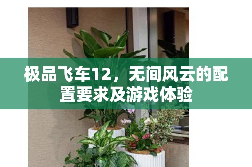 无间风云的配置要求及游戏体验图片