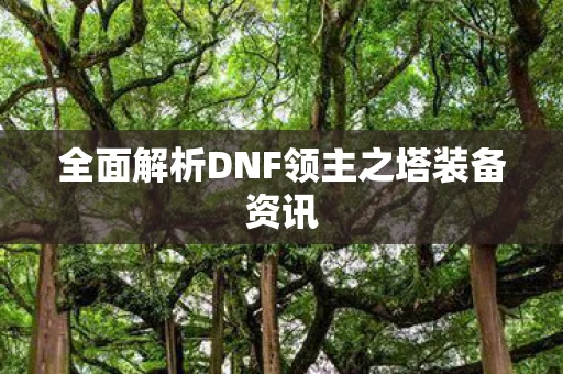 全面解析DNF领主之塔装备资讯图片