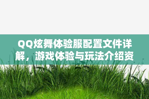 QQ炫舞体验服配置文件详解图片