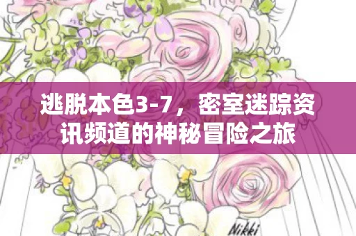密室迷踪资讯频道的神秘冒险之旅图片