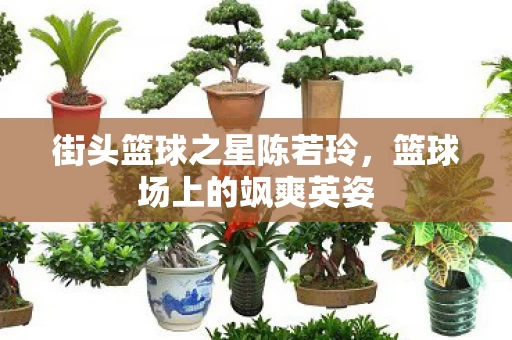 街头篮球之星陈若玲图片