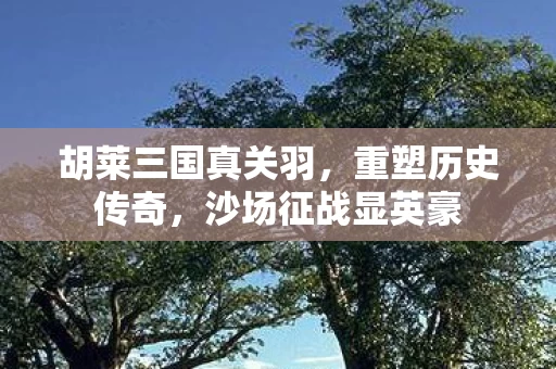 胡莱三国真关羽图片