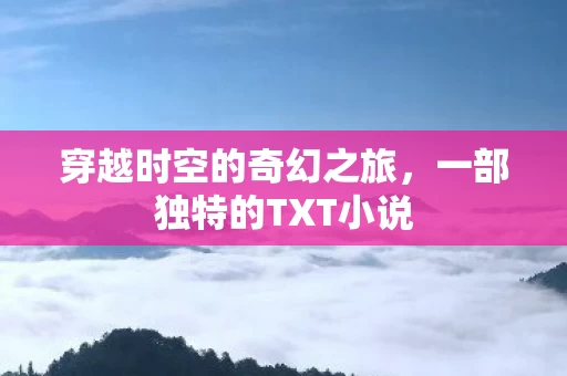 一部独特的TXT小说图片