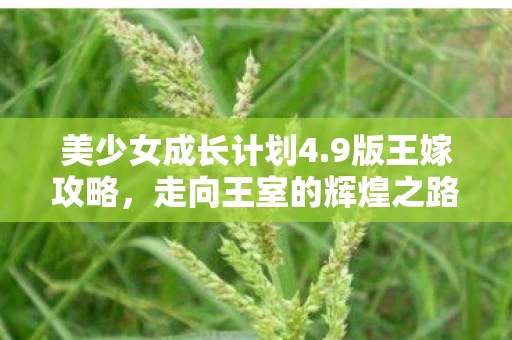 走向王室的辉煌之路图片