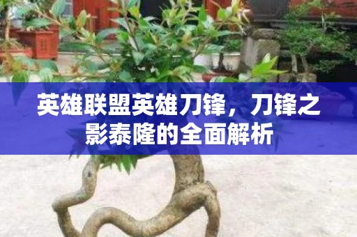刀锋之影泰隆的全面解析图片