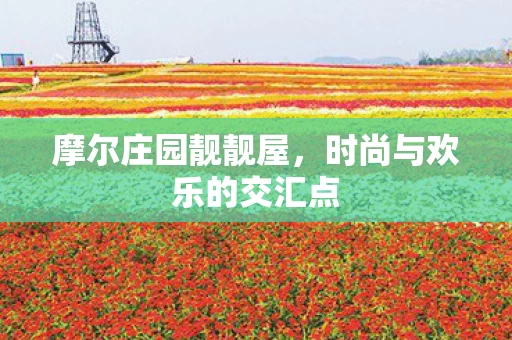 时尚与欢乐的交汇点图片