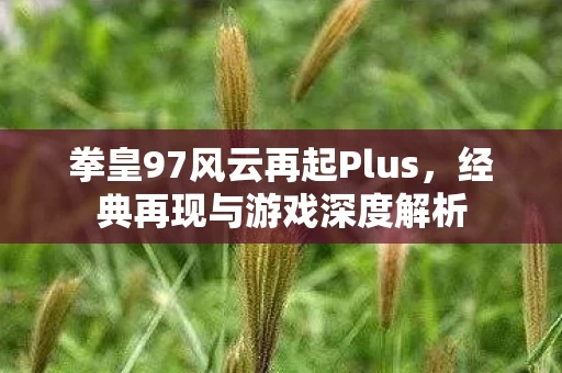 拳皇97风云再起Plus图片