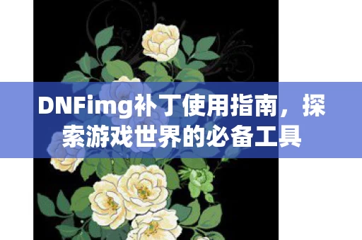 DNFimg补丁使用指南图片