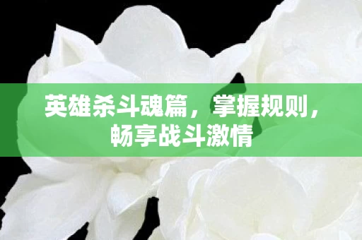 英雄杀斗魂篇图片
