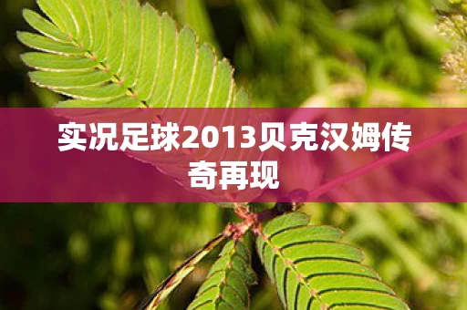 实况足球2013贝克汉姆传奇再现图片
