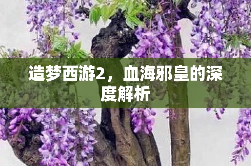 血海邪皇的深度解析图片