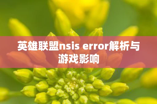 英雄联盟nsis error解析与游戏影响图片