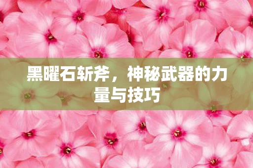 神秘武器的力量与技巧图片