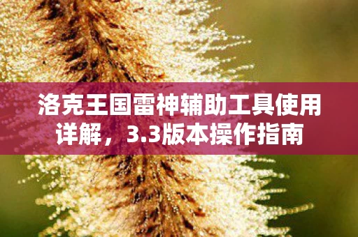 洛克王国雷神辅助工具使用详解图片