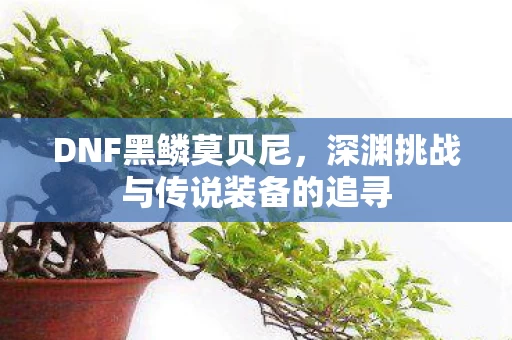 深渊挑战与传说装备的追寻图片