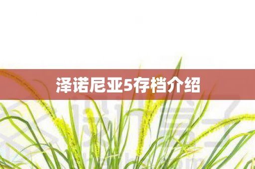 泽诺尼亚5存档介绍图片