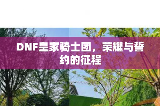 DNF皇家骑士团图片
