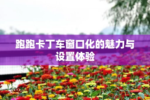 跑跑卡丁车窗口化的魅力与设置体验图片