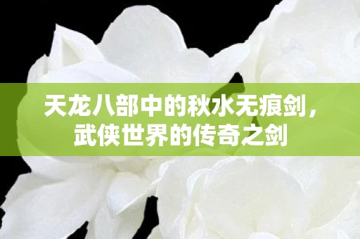 天龙八部中的秋水无痕剑图片