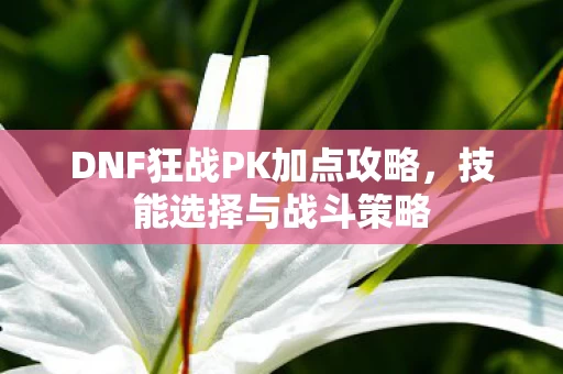 DNF狂战PK加点攻略图片