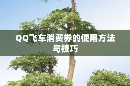 QQ飞车消费券的使用方法与技巧图片