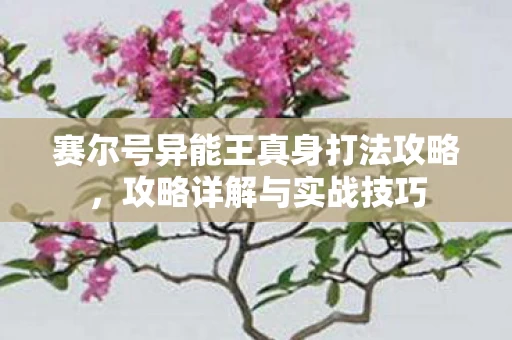 赛尔号异能王真身打法攻略图片