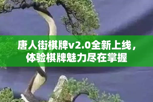 体验棋牌魅力尽在掌握图片