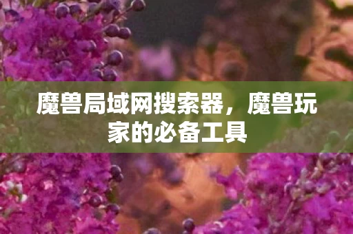 魔兽玩家的必备工具图片