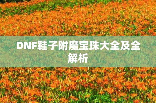DNF鞋子附魔宝珠大全及全解析图片