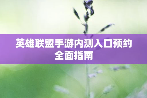 英雄联盟手游内测入口预约全面指南图片