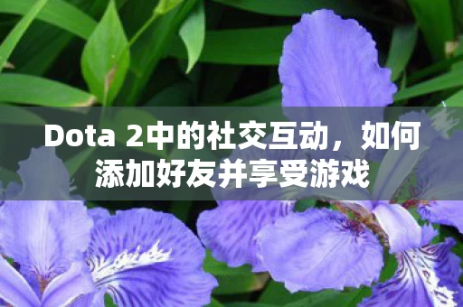 Dota 2中的社交互动图片