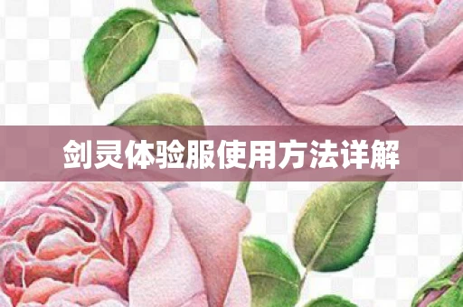 剑灵体验服使用方法详解图片