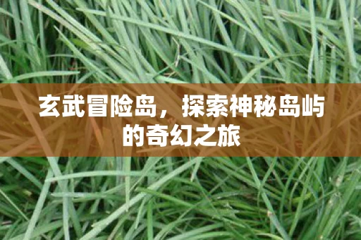 探索神秘岛屿的奇幻之旅图片