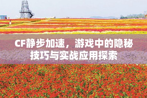 游戏中的隐秘技巧与实战应用探索图片