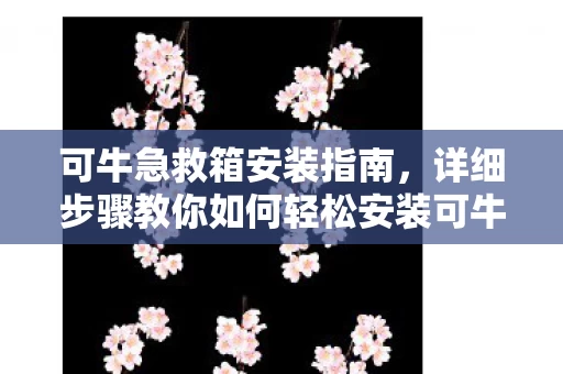 详细步骤教你如何轻松安装可牛急救箱图片