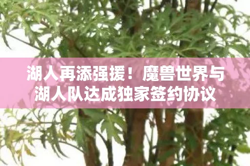 魔兽世界与湖人队达成独家签约协议图片