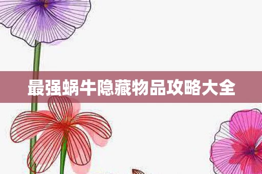 最强蜗牛隐藏物品攻略大全图片
