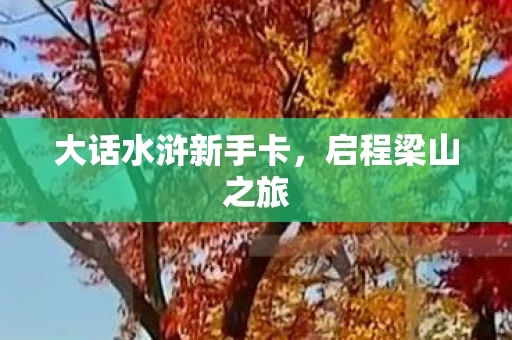 大话水浒新手卡图片